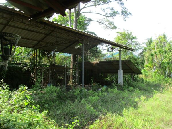 Single house, Nakhon Si Thammarat _photo