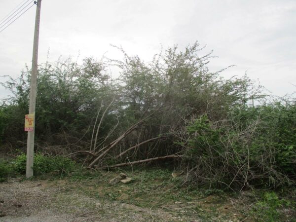 Empty land, Phetchaburi _photo