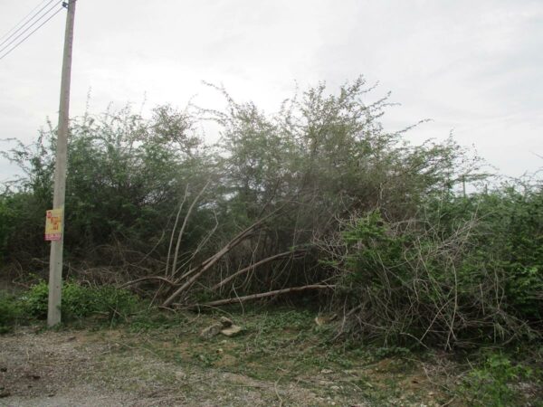 Empty land, Phetchaburi _photo