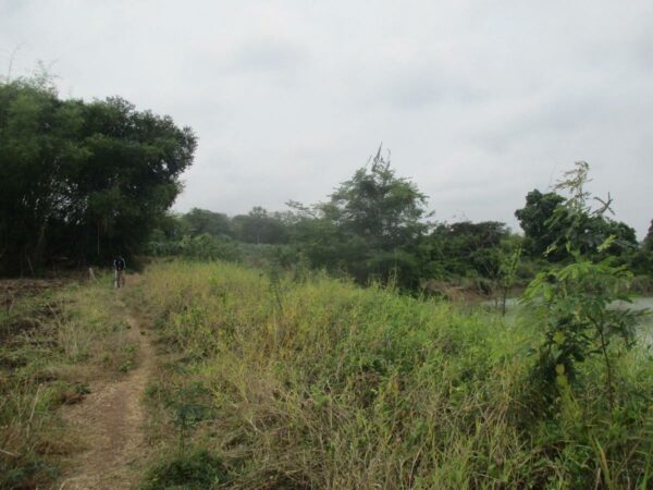 Empty Land, Suphanburi _photo