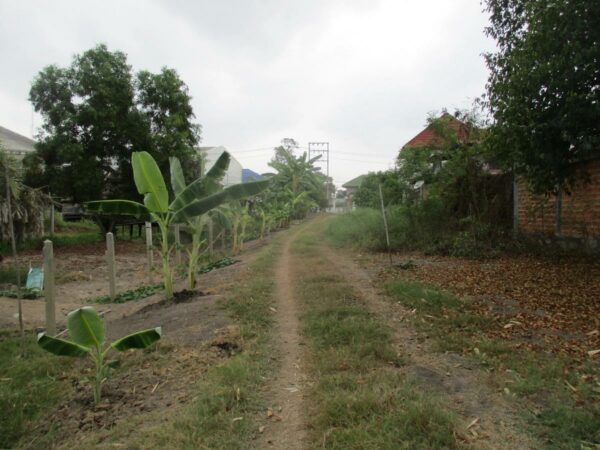 Empty Land, Suphanburi _photo