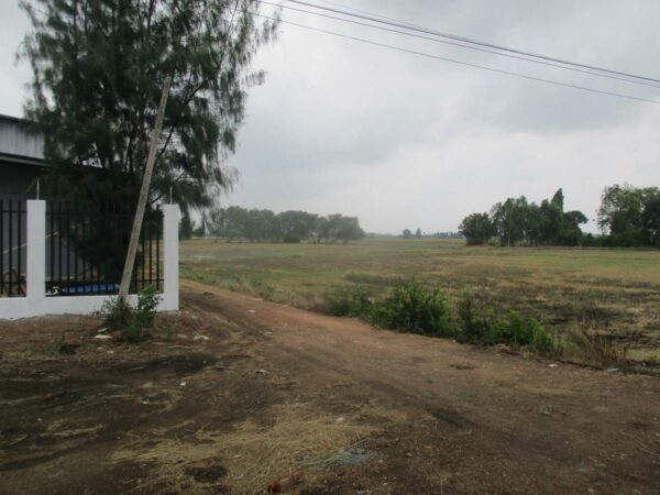 Empty Land, Suphanburi _photo