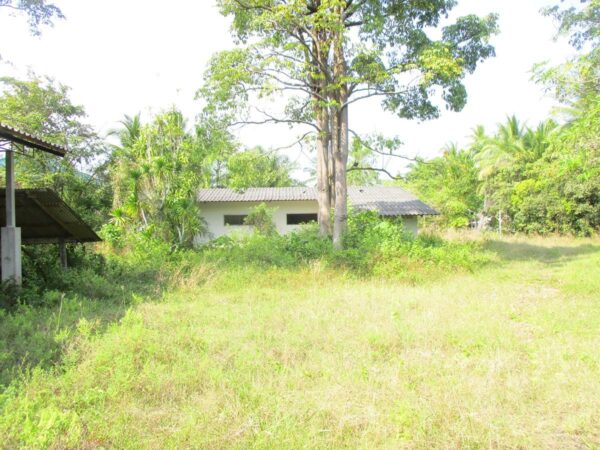 Single house, Nakhon Si Thammarat _photo