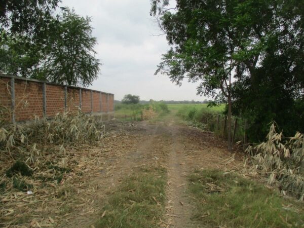 Empty Land, Suphanburi _photo