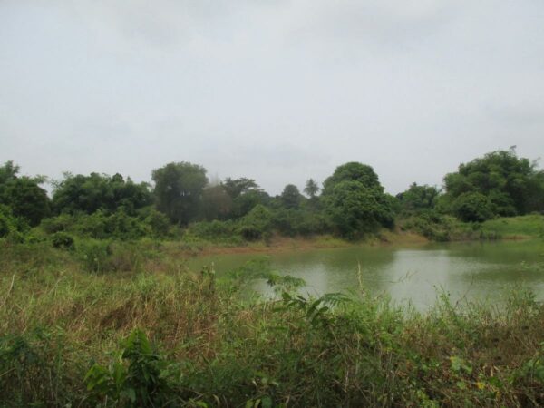 Empty Land, Suphanburi _photo