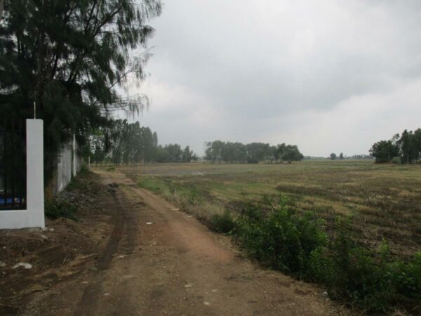 Empty Land, Suphanburi _photo