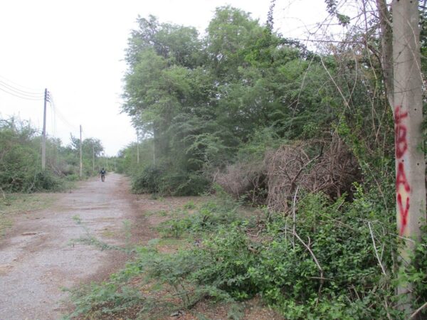 Empty land, Phetchaburi _photo