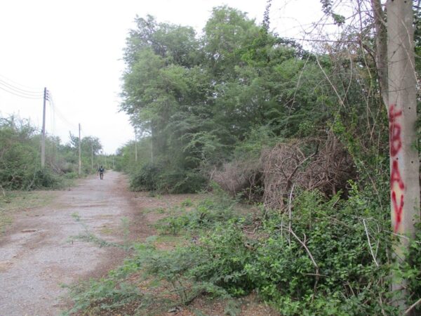 Empty land, Phetchaburi _photo