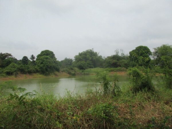 Empty Land, Suphanburi _photo