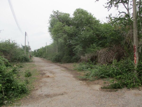 Empty land, Phetchaburi _photo