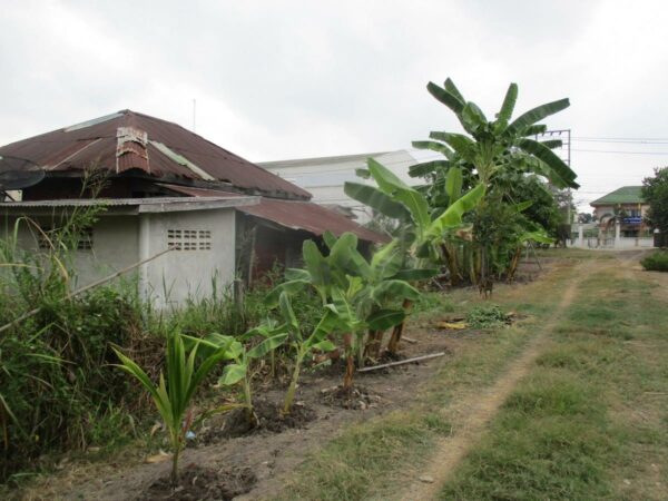 Empty Land, Suphanburi _photo