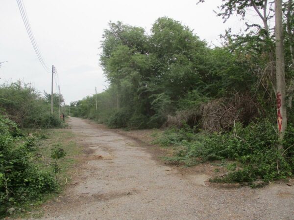 Empty land, Phetchaburi _photo