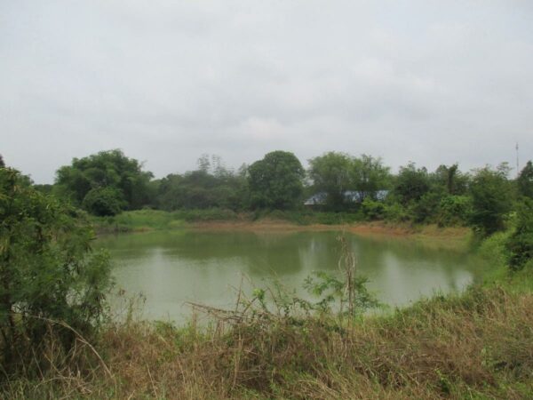 Empty Land, Suphanburi _photo