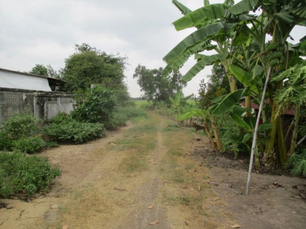 Empty Land, Suphanburi _photo