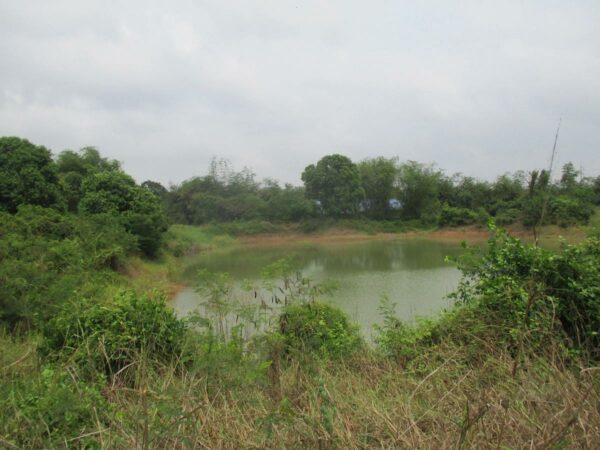 Empty Land, Suphanburi _photo