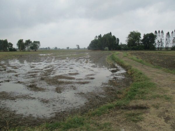 Empty Land, Suphanburi _photo