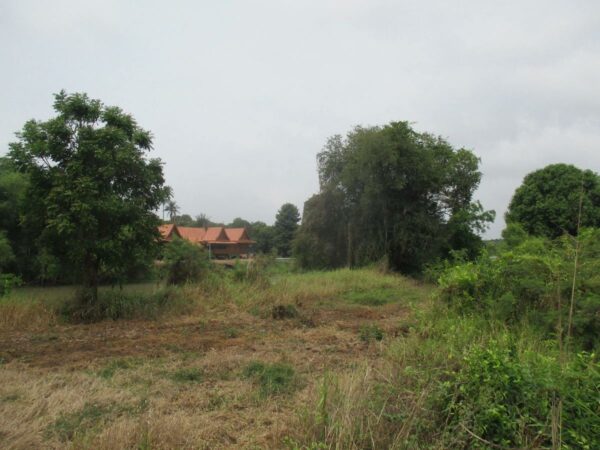 Empty Land, Suphanburi _photo