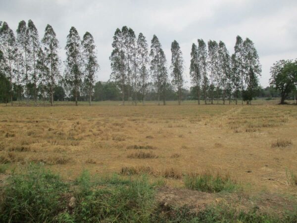 Empty Land, Suphanburi _photo