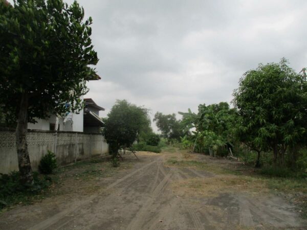 Empty Land, Suphanburi _photo