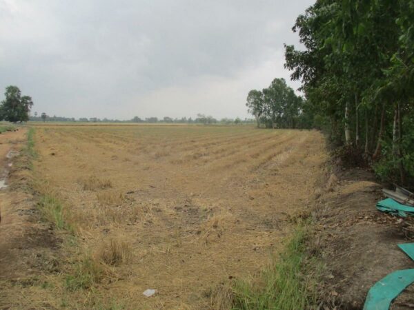 Empty Land, Suphanburi _photo