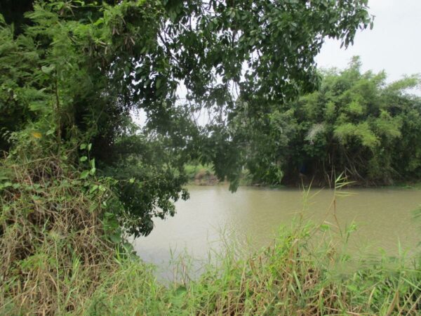 Empty Land, Suphanburi _photo