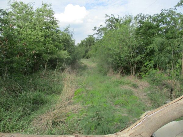 Empty Land, Phra Nakhon Si Ayutthaya _photo