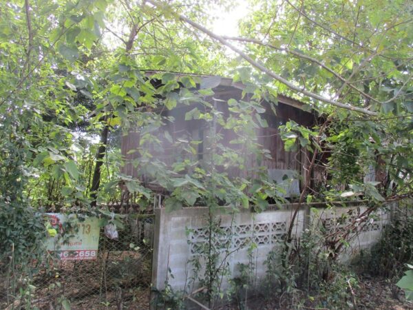 Single house, Phayao _photo