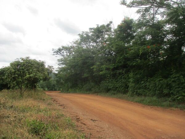 Non -empty land, Phetchabun _photo