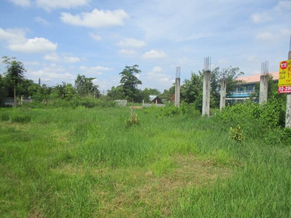 Vacant land, Maha Sarakham _photo