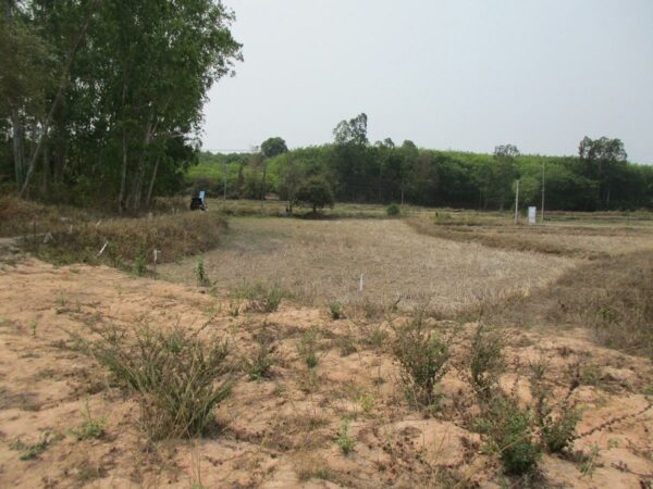 Non -empty land, Sakon Nakhon _photo