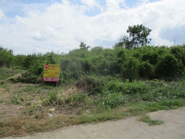 Vacant land, Nakhon Sawan _photo