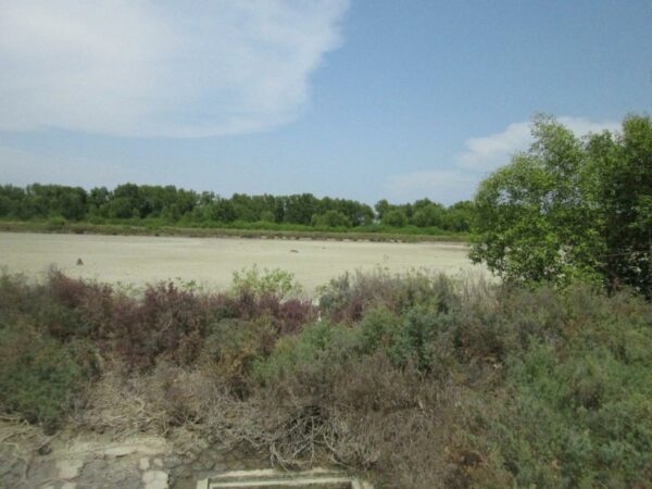 Non -empty land, Samut Sakhon _photo