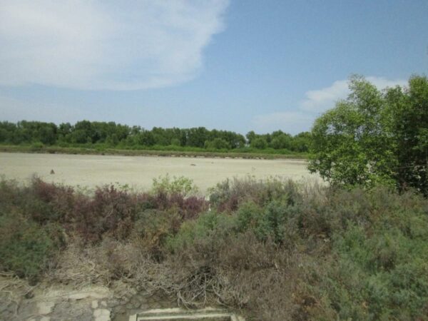 Non -empty land, Samut Sakhon _photo