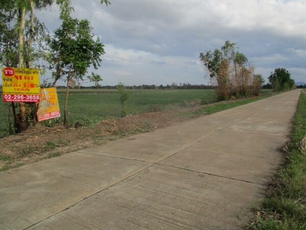 Empty land, Sukhothai _photo