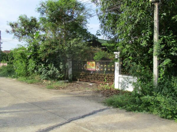 Single house, Sukhothai _photo