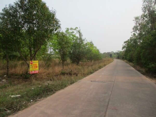 Blank land, Bueng Kan _photo