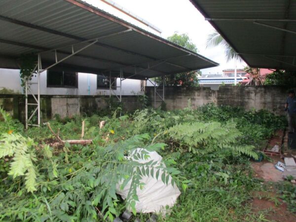 Covered building, Surat Thani _photo