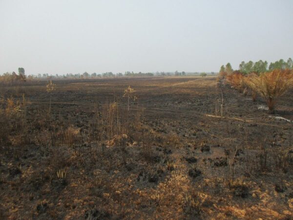 Blank land, Nong Khai _photo