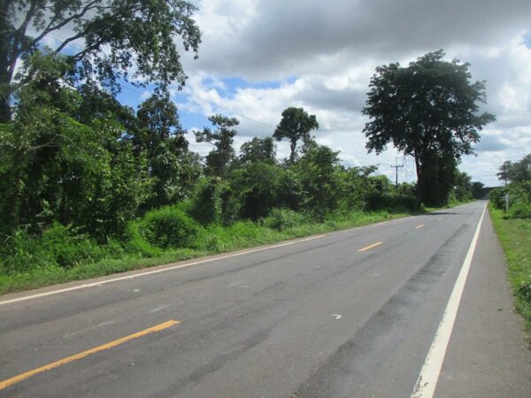 Vacant land, Ubon Ratchathani _photo