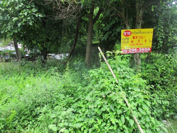 Vacant land, Ubon Ratchathani _photo