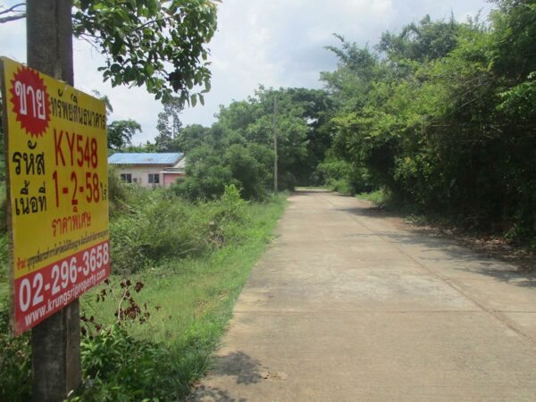 Empty land, Roi Et _photo