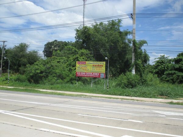 Empty Land, Suphanburi _photo