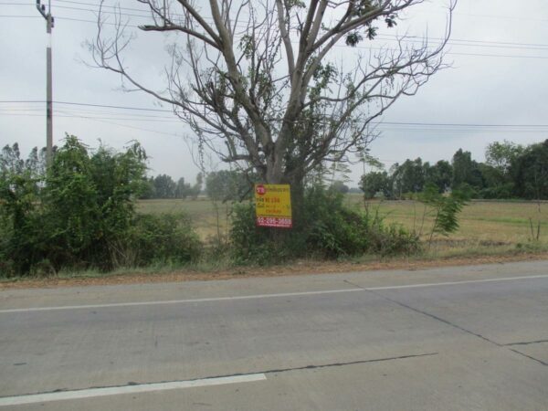 Empty Land, Suphanburi _photo