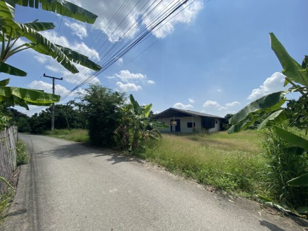 Single house _photo