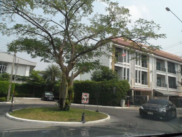 Townhouse, Bangkok _photo