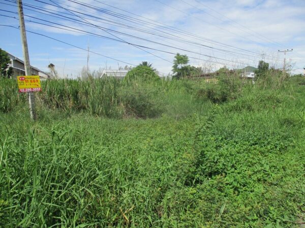 Vacant land, Kamphaeng Phet _photo