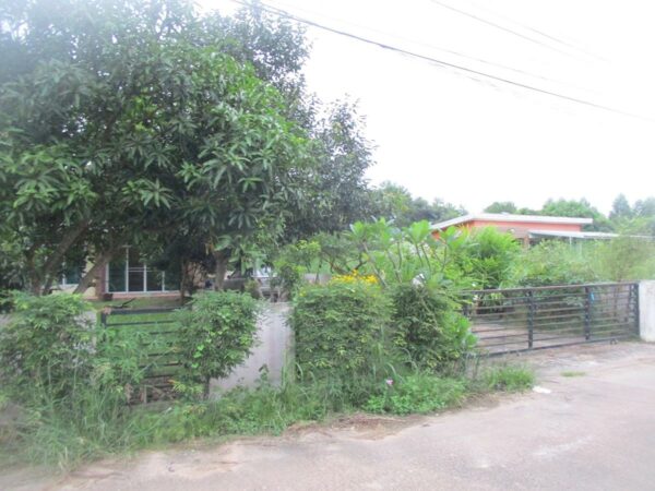 Single house, Chachoengsao _photo