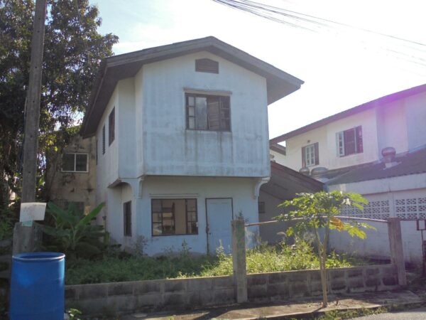 Single house _photo