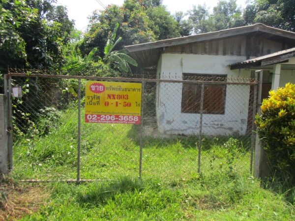 Single house, Chiang Rai _photo