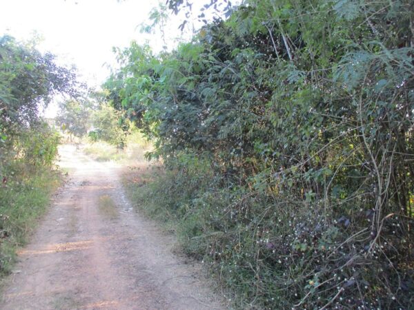 Blank land, Chiang Mai _photo